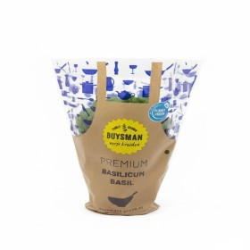  Holland -Basil Leaf POT 