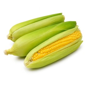  Lebanon - Sweet Corn kg 