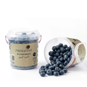  Morocco - Blueberry Jumbo 500g PKT 