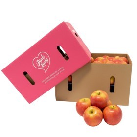  Serbia - Apple Pink Lady 18 Kg Box 