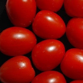  Tomatoes Plum kg - Spain 