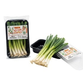  Portugal - Mini Leeks PKT 