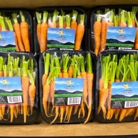  Baby Carrot with Tops PKT - African 