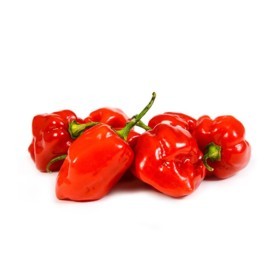  Red Habanero Chili kg - Holland 