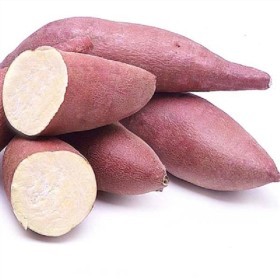  Oriental Murasaki Potato KG - USA 