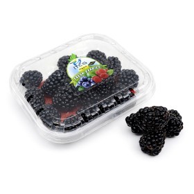  Morocco -  BlackBerry 125 g PKT 