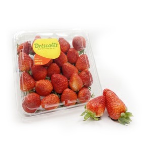  DRISCOLL'S STRAWBERRY 400GM MOROCCO 