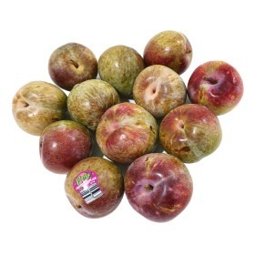  كوجا سكري كيلو - أسترالي 