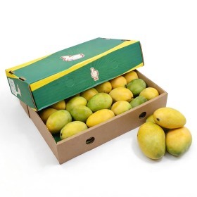  Egypt - Mango Fuss 1 Kg box 