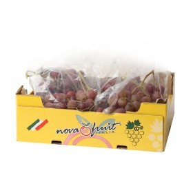  Red Grapes 4.5kg BOX - Italy 