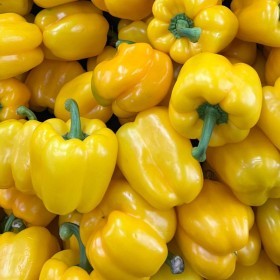  Holland Yellow Capsicum Kg 