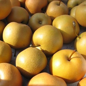  اجاص بالكيلو - امريكي 