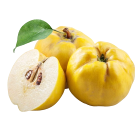  سفرجل كيلو - اذربيجان 