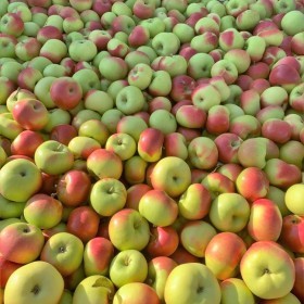  ميليسا | تفاح ليدي بالكيلو - امريكية 