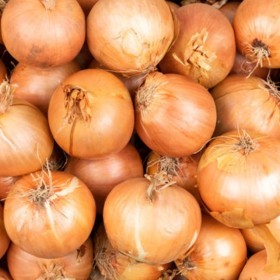  Yellow Australian Onion kg 