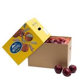  Poland - Red Apple 18 Kg Box 