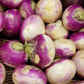  لفت بالكيلو - امريكي 