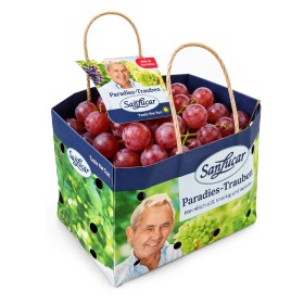  Italy - Red Grapes Kg 