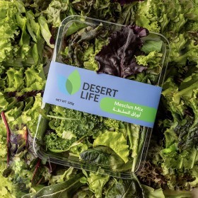  LETTUCE MESCLUN MIX 125G 