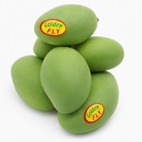  Egypt - Baby Mango KG 