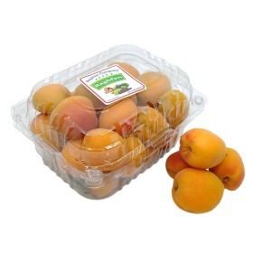  Syria - Apricot 1 Kg PKT 