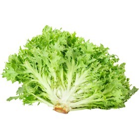  Frisée Lettuce KG - Spain 