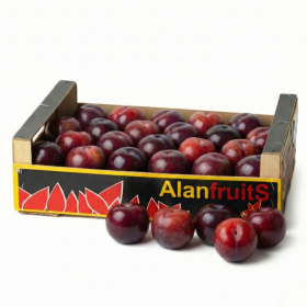  كرتون كوجا 5 كيلو - اسباني 