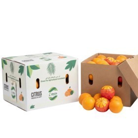  Egypt - Orange Valencia 14 Kg Box 