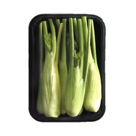  Africa - Baby Fennel PKT 