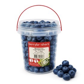  Holland - Blueberry 500 g PKT 