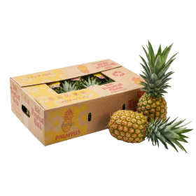  اناناس دول ذهبي كرتون 10 كيلو - فلبيني 