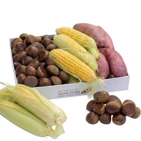  صندوق الكشته 