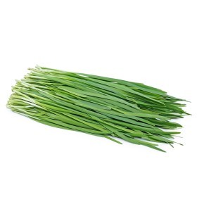  Kenya - Chives PKT 