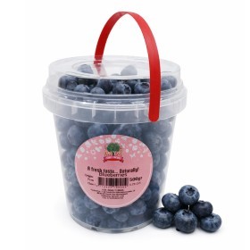  Driscoll | Blueberry 500g PKT | Peru 