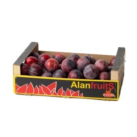  Plum 5kg Box - Spain 