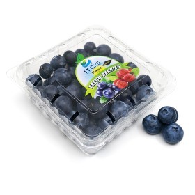  Driscoll | BlueBerry 125g PKT - Morocco 