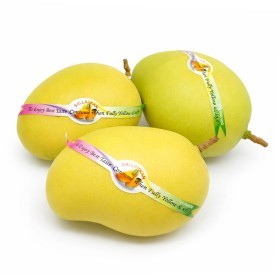  Sri Lanka -Kohala Mango Kg 