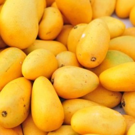  Baby Mango Per Kg -  Egypt 