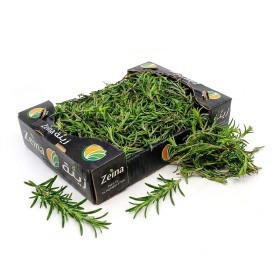  Lebanon - Thyme 250 g PKT 