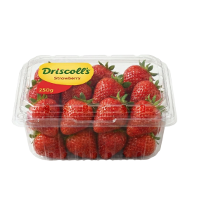  Driscoll l Strawberry 250g PKT l Morocco 