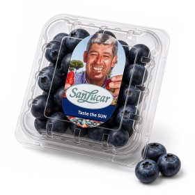  Sanlucar - Blueberry 125 g Pkt - South Africa 