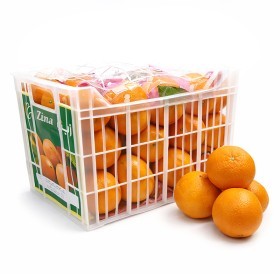  Lebanon - Orange 6 Kg Box 