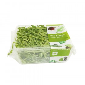  خس روكا  / جرجير 125 جم - ايطالي 