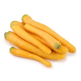  جزر اصفر بالكيلو - هولندي 