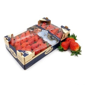  Tunisia - Strawberry 1 Kg PKT 