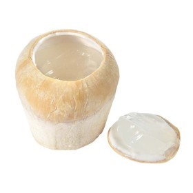  Coconut Jelly PC - Thailand 