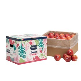  Dolce Vita l Apple 18 Kg Box - Italy 