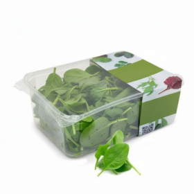  Italy - Baby Spinach PKT 125G 