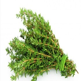  زعتر باكت 100 جم - هولندي 