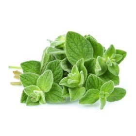  Oregano 100g PKT - Kenya 